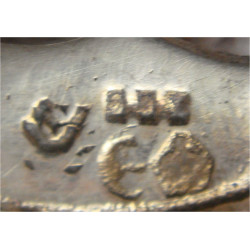 Gümüş Pasta Maşası_9