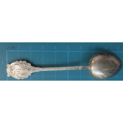 Enamel Tea Spoon_5