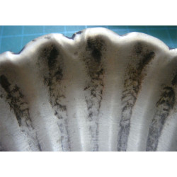 Bir Çift Kül Tablası_52