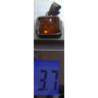 Amber Pendant_461