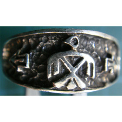 Ring_294