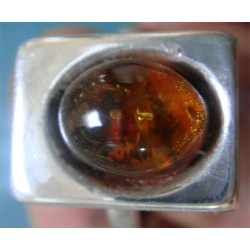 Ring_308