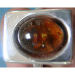 Ring_308