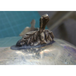 Kıl Kesme Şekerlik_45