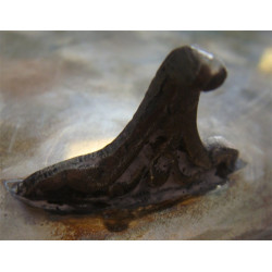 Dini Motifli Şekerlik_139