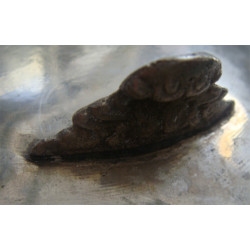 Kıl Kesme Şekerlik_153