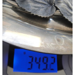 Yapraklı Şekerlik_163