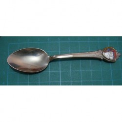 delaware state usa enemal silver spoon _279