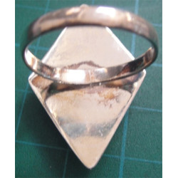Ring_434