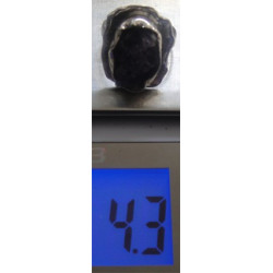 Ring_438