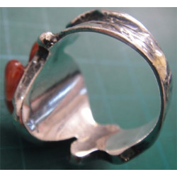 Ring_529