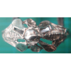Ring_576