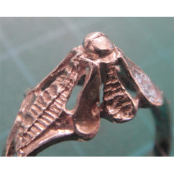 Ring_576