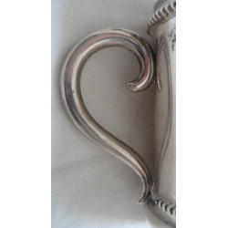 Gümüş Su Bardağı_532