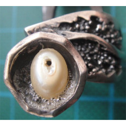 Silver Ring_735