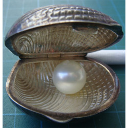 Midye Kabuğu Formunda Obje