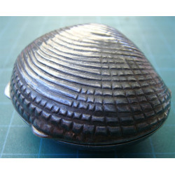 Midye Kabuğu Formunda Obje