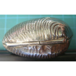 Midye Kabuğu Formunda Obje