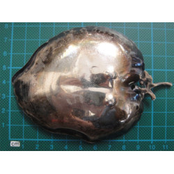A couple of Ashtray_71