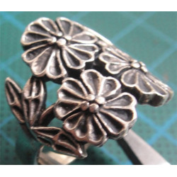 Silver Ring_828
