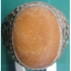 Silver Ring_973
