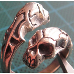 Silver Ring_1041