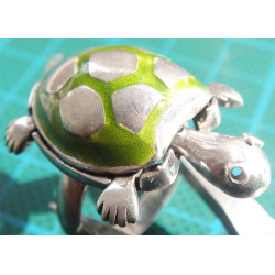 Silver Ring_1048
