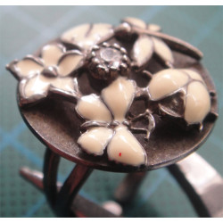 Silver Ring_1097