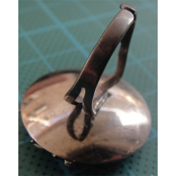 Silver Ring_1098