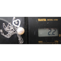 Silver Pendant_1468