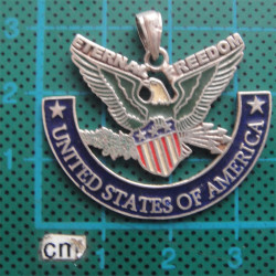 Amerika Sembolü Kartallı Gümüş Kolye Ucu_1480