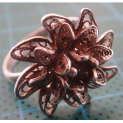 Silver Ring_1137