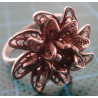 Silver Ring_1137