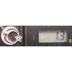 Silver Rosette_608