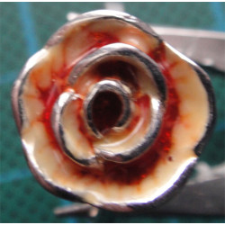 Silver Ring_1166