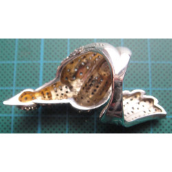 Silver Ring_1176
