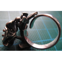 Silver Ring_1177