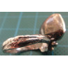 Silver Ring_1188