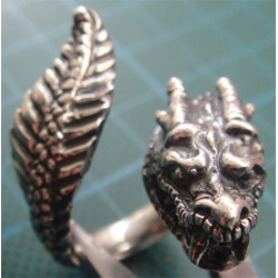 Silver Ring_1191