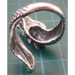 Silver Ring_1191
