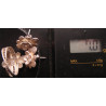 Silver Earring_332