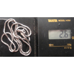 Silver Chain_393