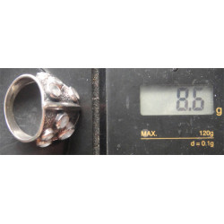 Silver Ring_1239
