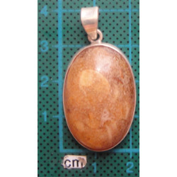 Kehribar Taşlı Gümüş Kolye Ucu_1569