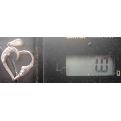 Kalpli Gümüş Kolye Ucu_1589