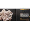 Silver Chain_432