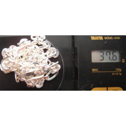 Silver Chain_443