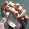 Silver Ring_1299