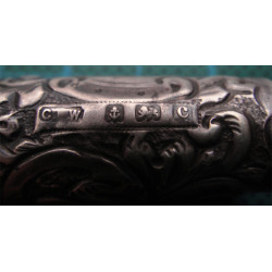 Kehribar Uçlu İngiliz Gümüş Ağızlık_105