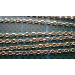 Uzun Gümüş Zincir_383